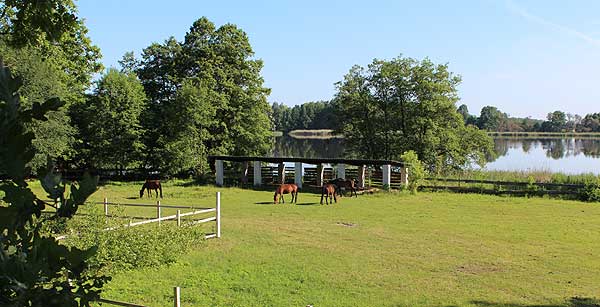 Koppel am See